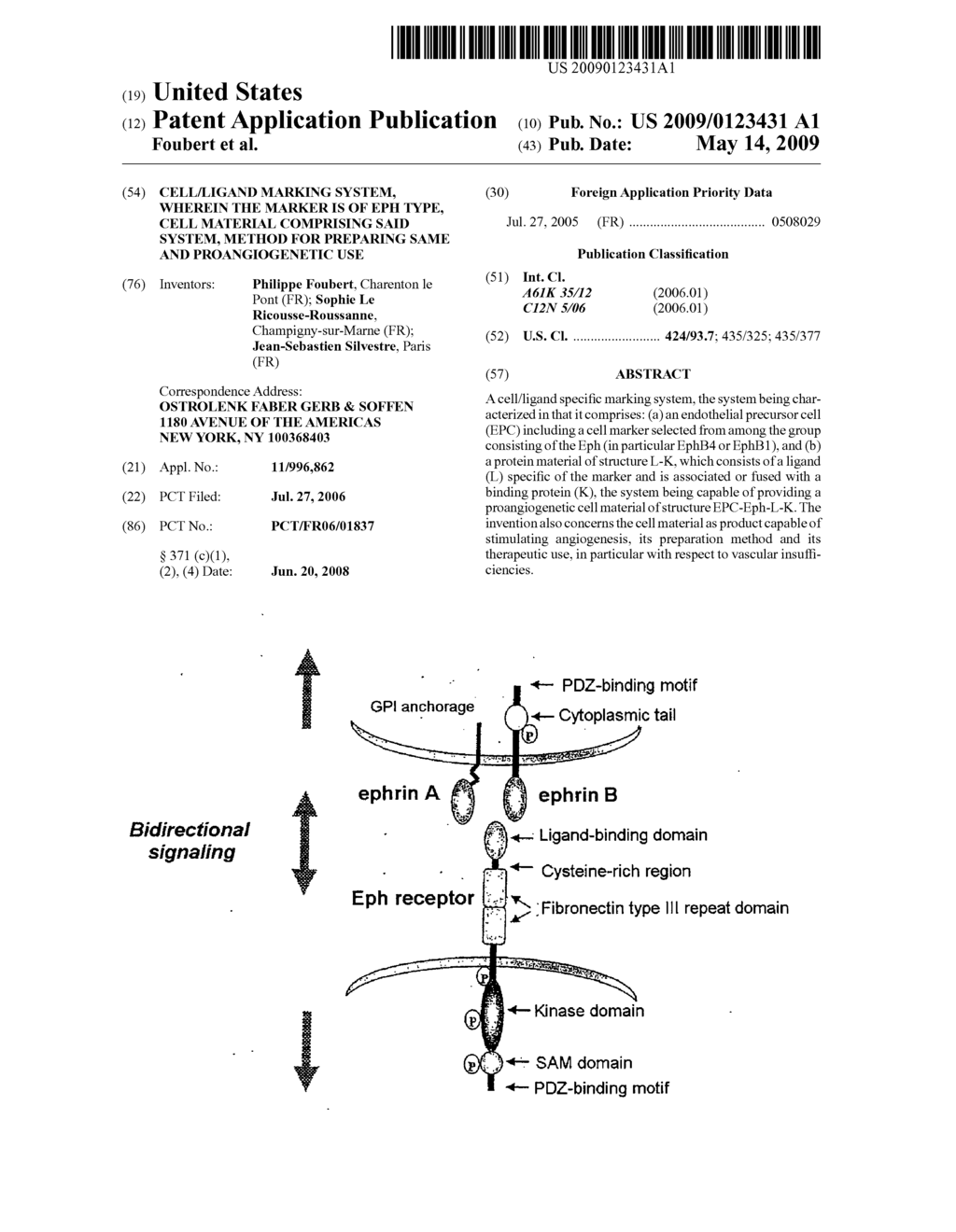 CELL/LIGAND MARKING SYSTEM, WHEREIN THE MARKER IS OF EPH TYPE, CELL MATERIAL COMPRISING SAID SYSTEM, METHOD FOR PREPARING SAME AND PROANGIOGENETIC USE - diagram, schematic, and image 01