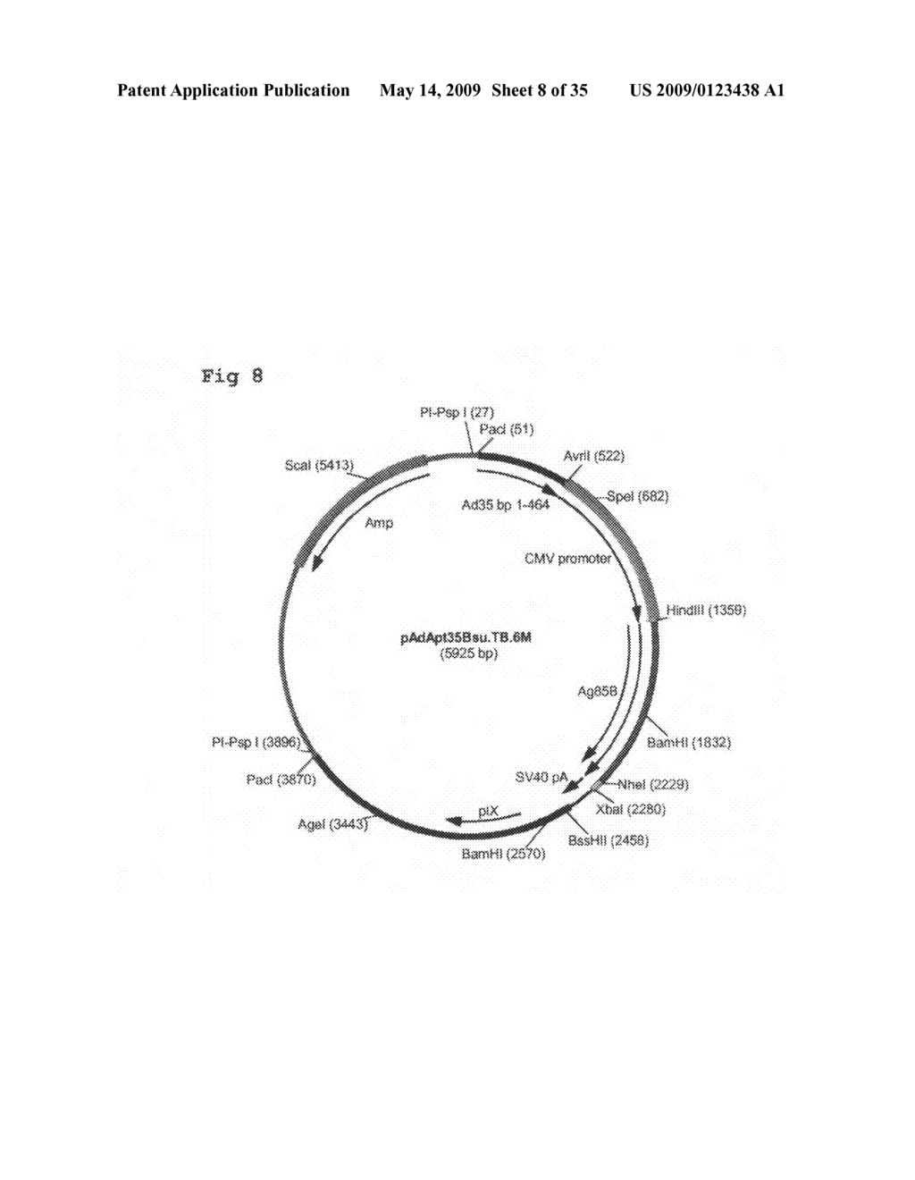 Multivalent Vaccines Comprising Recombinant Viral Vectors - diagram, schematic, and image 09