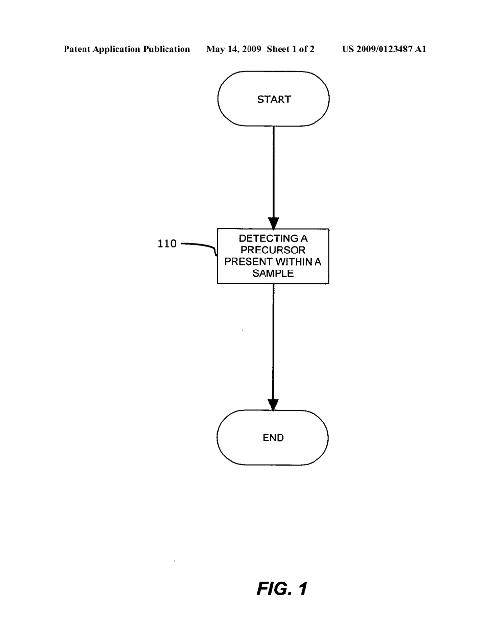 Precursors and enzymes associated with post translational modification of proteins implicated in isoform generation of PCNA - diagram, schematic, and image 02