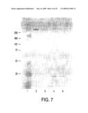 Circovirus sequences associated with piglet weight loss disease (PWD) diagram and image