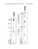 Copper-dependent non-traditional pro-inflammatory cytokine export and methods, compositions and kits relating thereto diagram and image