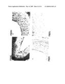 Copper-dependent non-traditional pro-inflammatory cytokine export and methods, compositions and kits relating thereto diagram and image