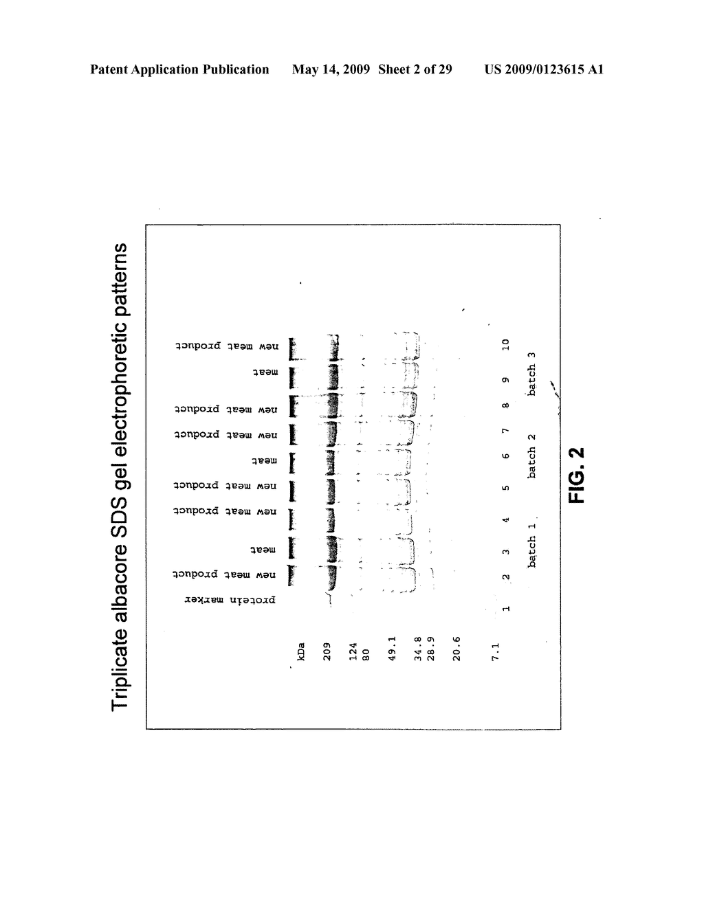 Composition Derived from a Meat Source and Processes for Making and Using Composition - diagram, schematic, and image 03