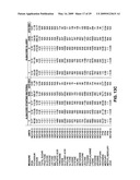 Composition Derived from a Meat Source and Processes for Making and Using Composition diagram and image