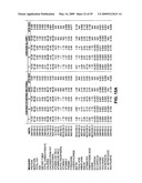 Composition Derived from a Meat Source and Processes for Making and Using Composition diagram and image