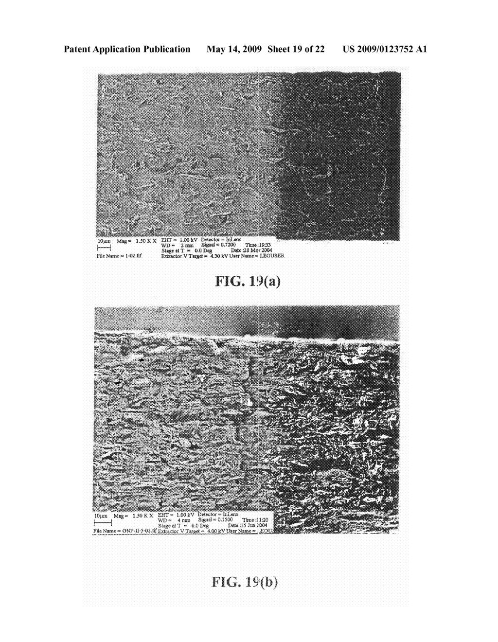 SEPARATION MEDIUM CONTAINING THERMALLY EXFOLIATED GRAPHITE OXIDE - diagram, schematic, and image 20