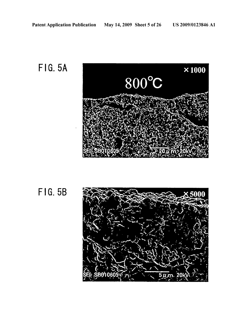 ALL-SOLID-STATE CELL - diagram, schematic, and image 06