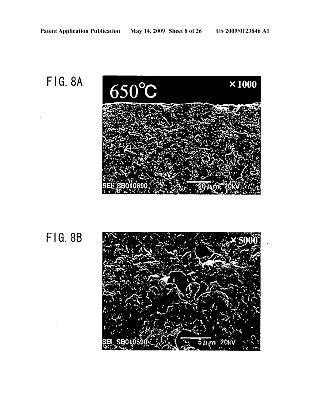 ALL-SOLID-STATE CELL - diagram, schematic, and image 09