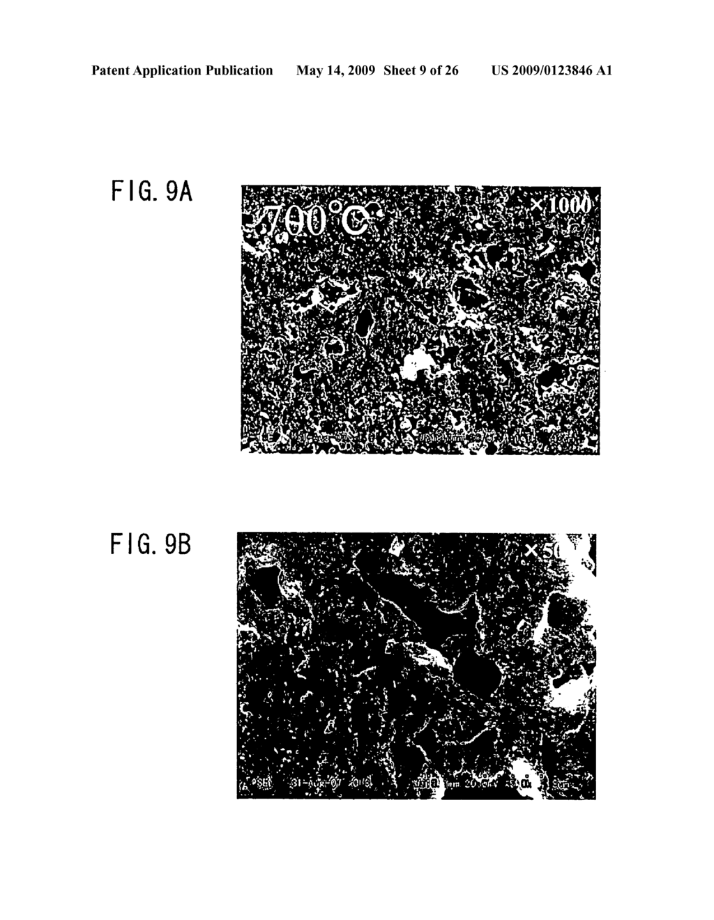 ALL-SOLID-STATE CELL - diagram, schematic, and image 10