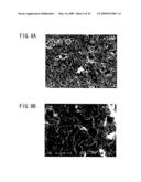 ALL-SOLID-STATE CELL diagram and image