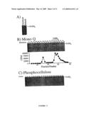 ISOLATED STAPHYLOCOCCUS DNAX SUBUNIT AND USE THEREOF diagram and image