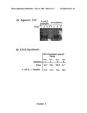 ISOLATED STAPHYLOCOCCUS DNAX SUBUNIT AND USE THEREOF diagram and image