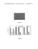 METHODS FOR QUANTIFYING MICRORNA PRECURSORS diagram and image