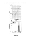 METHODS FOR QUANTIFYING MICRORNA PRECURSORS diagram and image