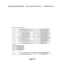 METHODS FOR QUANTIFYING MICRORNA PRECURSORS diagram and image