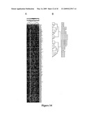 METHODS FOR QUANTIFYING MICRORNA PRECURSORS diagram and image