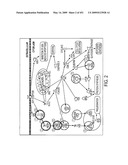 Genomic Landscapes of Human Breast and Colorectal Cancers diagram and image