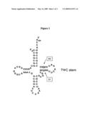 Compositions of aminoacyl-tRNA synthetase and uses thereof diagram and image