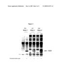 Compositions of aminoacyl-tRNA synthetase and uses thereof diagram and image