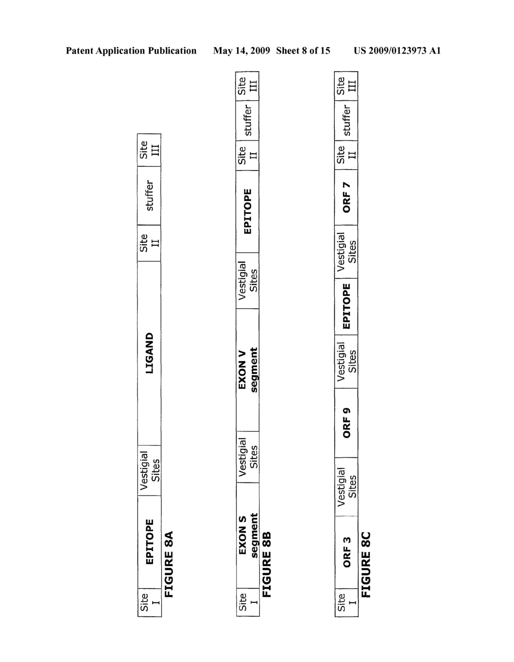 Methods of Making Modular Fusion Protein Expression Products - diagram, schematic, and image 09