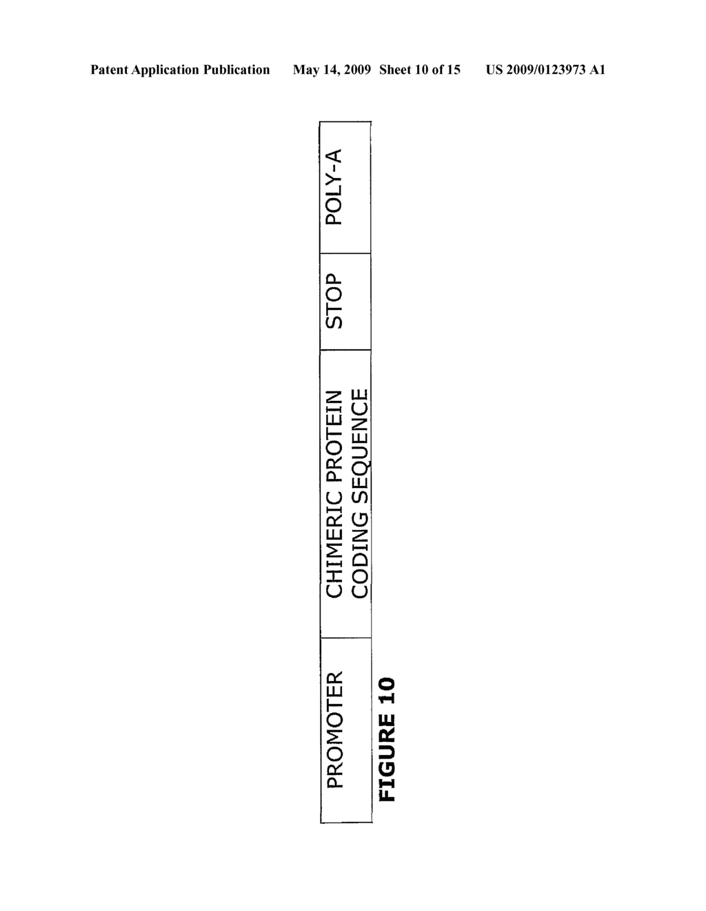 Methods of Making Modular Fusion Protein Expression Products - diagram, schematic, and image 11