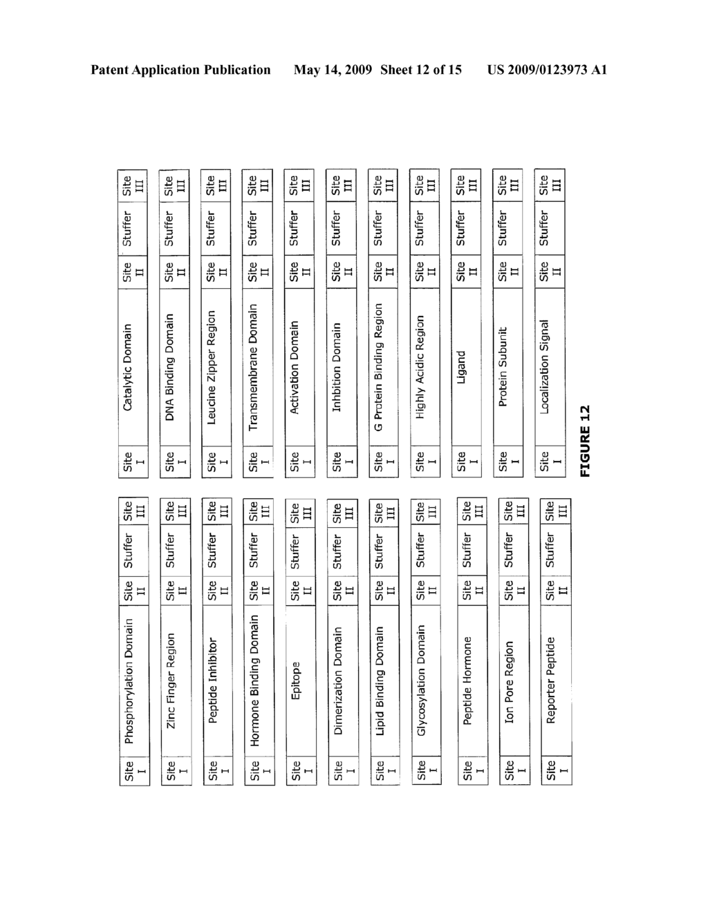 Methods of Making Modular Fusion Protein Expression Products - diagram, schematic, and image 13