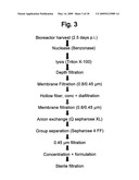 VIRUS PURIFICATION USING ULTRAFILTRATION diagram and image