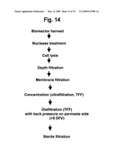 VIRUS PURIFICATION USING ULTRAFILTRATION diagram and image