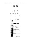 VIRUS PURIFICATION USING ULTRAFILTRATION diagram and image