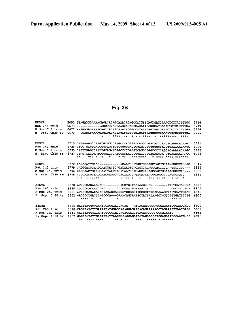 Enhanced Expression and Stability Regions - diagram, schematic, and image 05