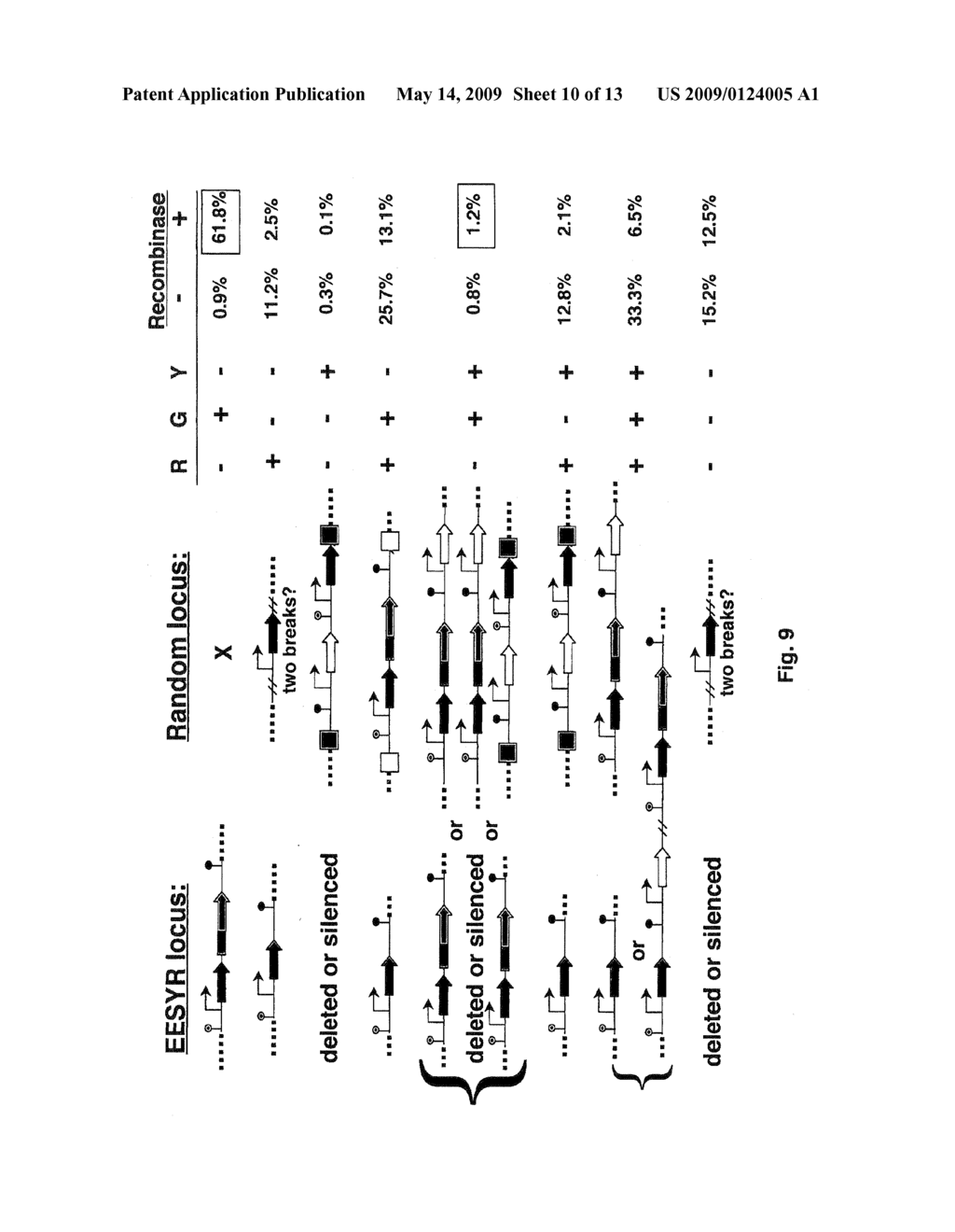 Enhanced Expression and Stability Regions - diagram, schematic, and image 11