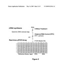 System for Providing Control Reactions for Real Time RT-PCR diagram and image