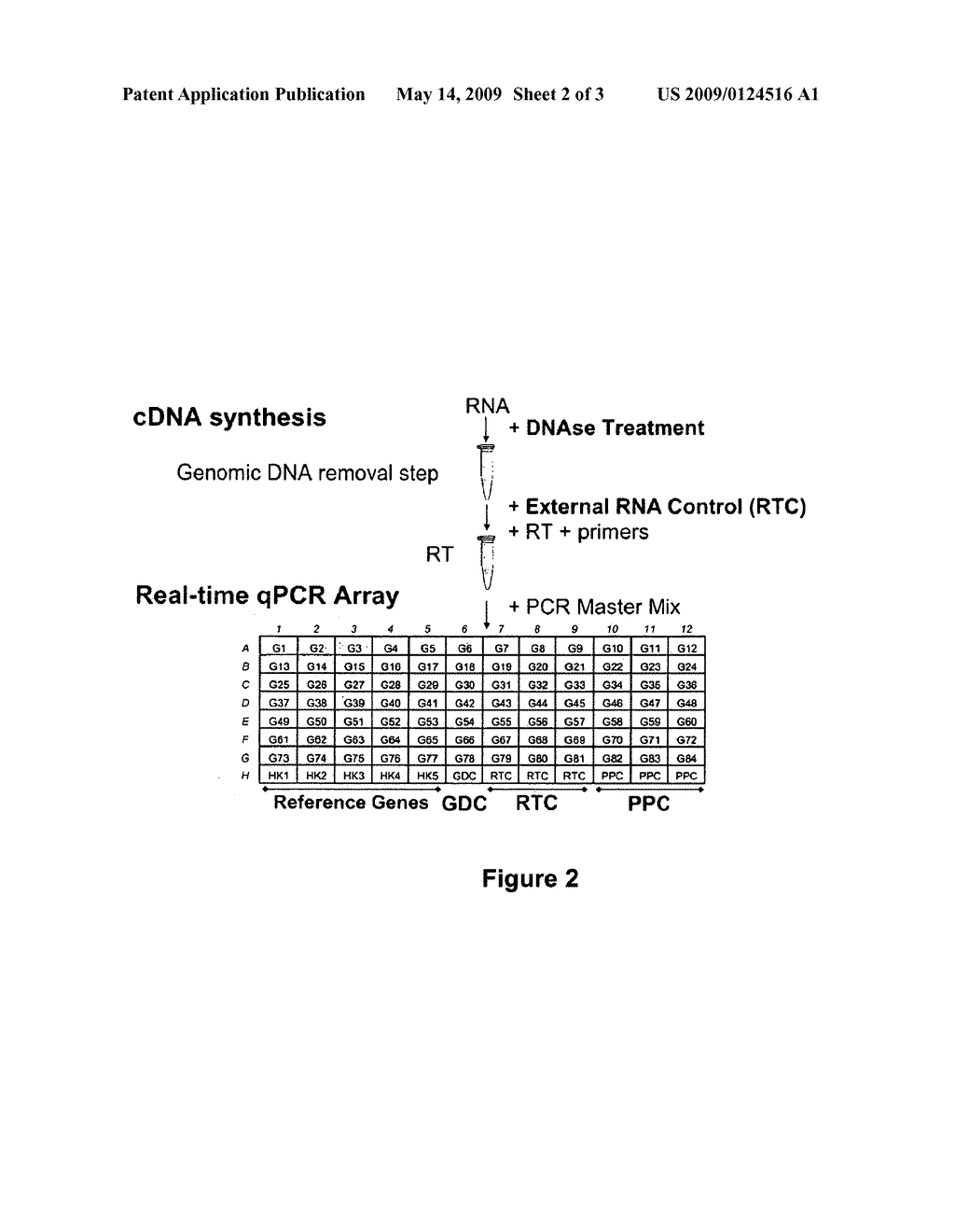 System for Providing Control Reactions for Real Time RT-PCR - diagram, schematic, and image 03