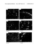 Process to form fabric softening particle, particle obtained and its use diagram and image