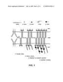 Selective R-cadherin antagonists and methods diagram and image