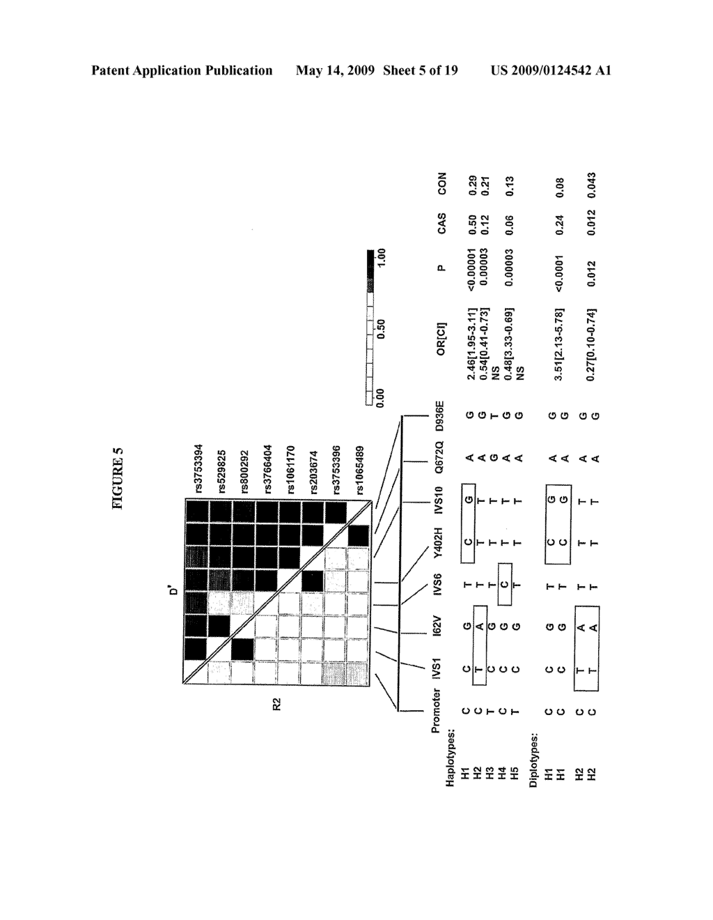 METHODS AND REAGENTS FOR TREATMENT AND DIAGNOSIS OF AGE-RELATED MACULAR DEGENERATION - diagram, schematic, and image 06