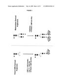 COMPOSITIONS AND METHODS FOR THE PREPARATION OF PROTEASE RESISTANT HUMAN GROWTH HORMONE GLYCOSYLATION MUTANTS diagram and image