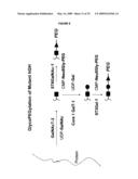 COMPOSITIONS AND METHODS FOR THE PREPARATION OF PROTEASE RESISTANT HUMAN GROWTH HORMONE GLYCOSYLATION MUTANTS diagram and image