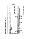 COMPOSITIONS AND METHODS FOR THE PREPARATION OF PROTEASE RESISTANT HUMAN GROWTH HORMONE GLYCOSYLATION MUTANTS diagram and image