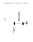 COMPOSITIONS AND METHODS FOR THE PREPARATION OF PROTEASE RESISTANT HUMAN GROWTH HORMONE GLYCOSYLATION MUTANTS diagram and image