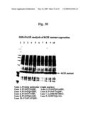 COMPOSITIONS AND METHODS FOR THE PREPARATION OF PROTEASE RESISTANT HUMAN GROWTH HORMONE GLYCOSYLATION MUTANTS diagram and image