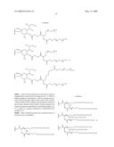 COMPOSITIONS AND METHODS FOR THE PREPARATION OF PROTEASE RESISTANT HUMAN GROWTH HORMONE GLYCOSYLATION MUTANTS diagram and image