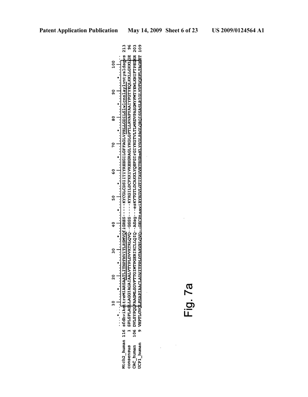 Compositions and methods for regulating apoptosis - diagram, schematic, and image 07