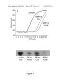 Methods and Compositions for Facilitating Tissue Repair and Diagnosing, Preventing, and Treating Fibrosis diagram and image