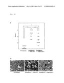 PLASMINOGEN ACTIVATOR INHIBITOR-1 INHIBITOR diagram and image