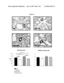 METHODS FOR PRESERVING AND/OR INCREASING RENAL FUNCTION USING XANTHINE OXIDOREDUCTASE INHIBITORS diagram and image