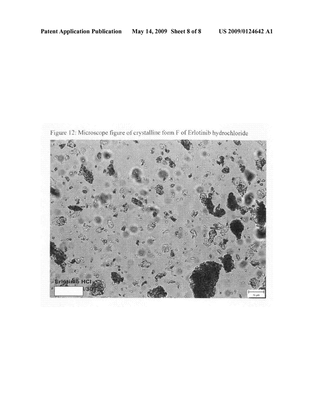 Crystalline forms of Erlotinib HCI and formulations thereof - diagram, schematic, and image 09