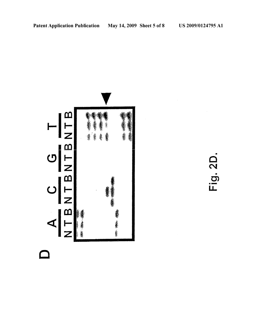 Mitochondrial Dosimeter - diagram, schematic, and image 06