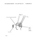 Method for Real Tima Attitude Assessment diagram and image