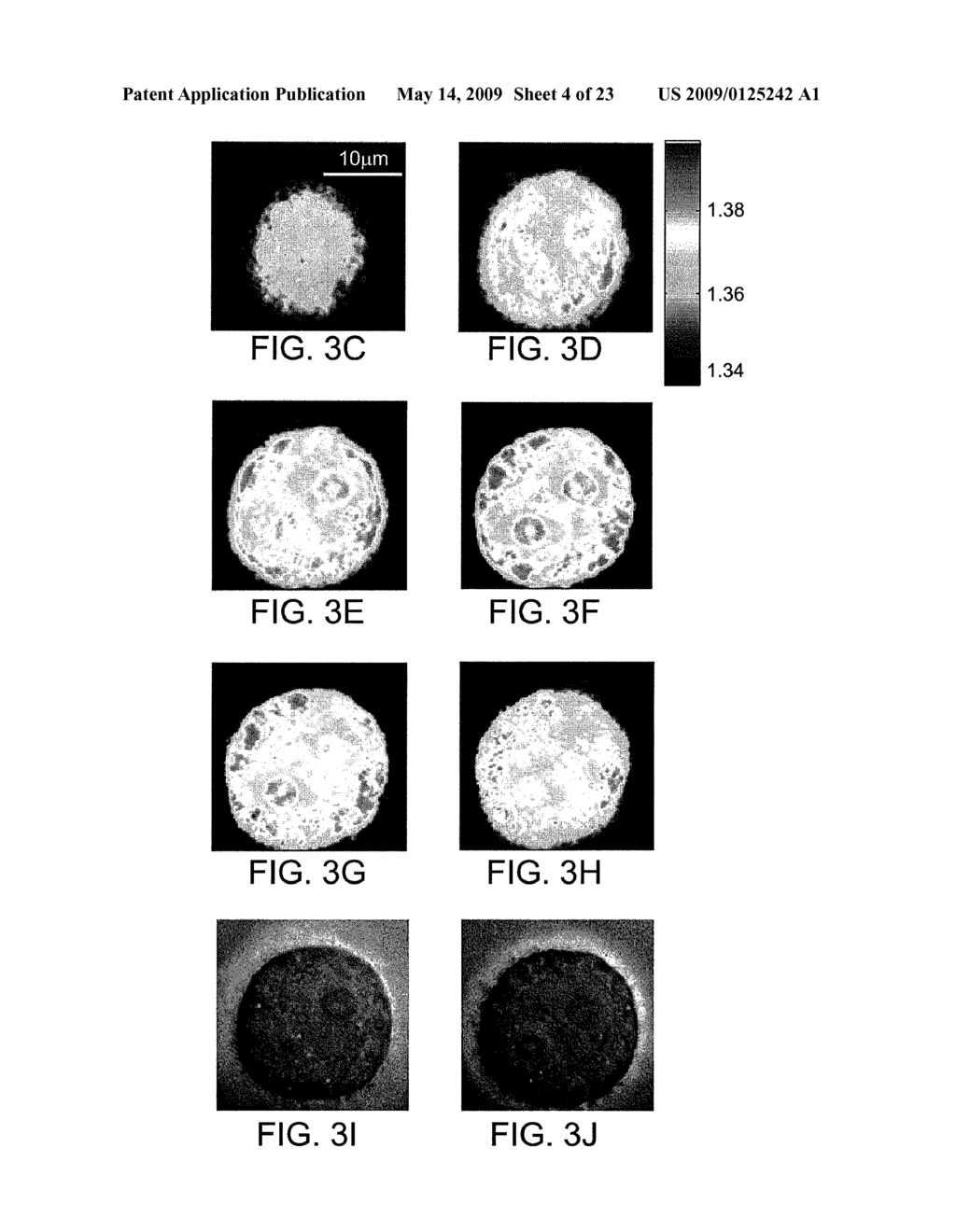 Tomographic phase microscopy - diagram, schematic, and image 05